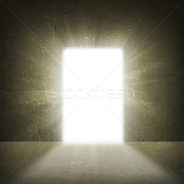 In concrete wall doorway with bright light Stock photo © cherezoff