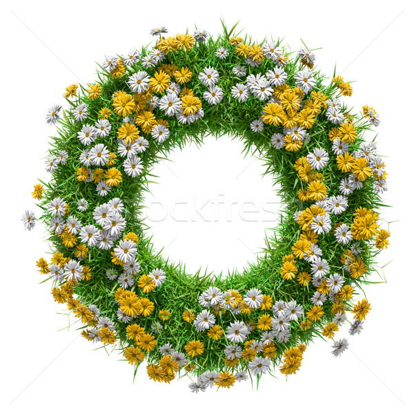 Nature frame of green grass and flowers Stock photo © cherezoff