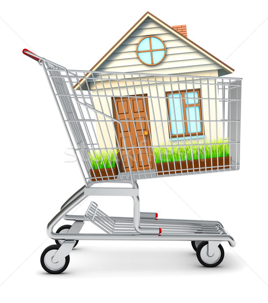 House in shopping cart Stock photo © cherezoff