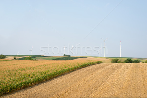 Nature with wind power station  Stock photo © cherezoff