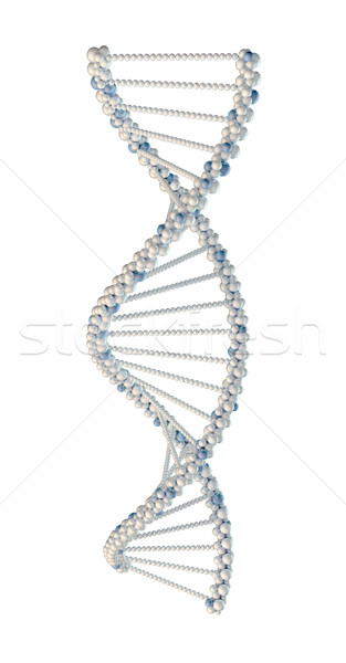 Emberi DNS fonal magas döntés 3d render Stock fotó © cherezoff