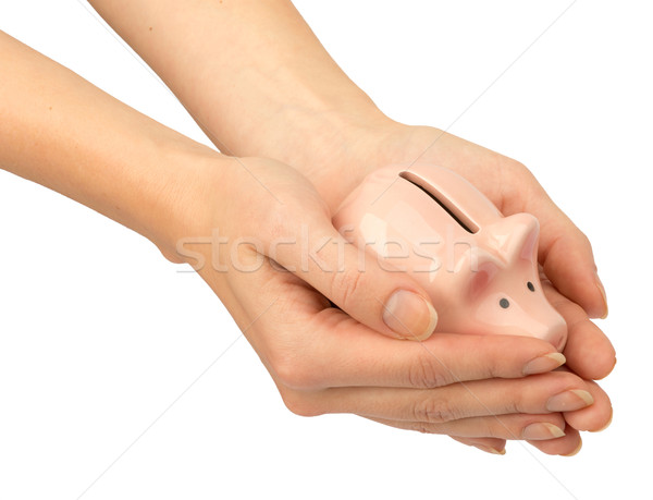 Pigggy bank in humans hands, close up view Stock photo © cherezoff