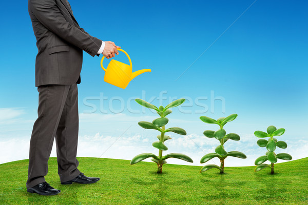 Affaires plantes tête bureau visage [[stock_photo]] © cherezoff