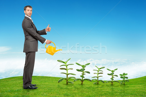 Geschäftsmann Bewässerung Pflanzen gelb Stock foto © cherezoff