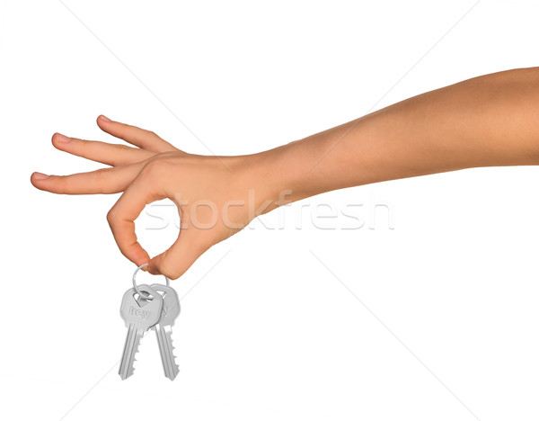 Humans hand with keys Stock photo © cherezoff