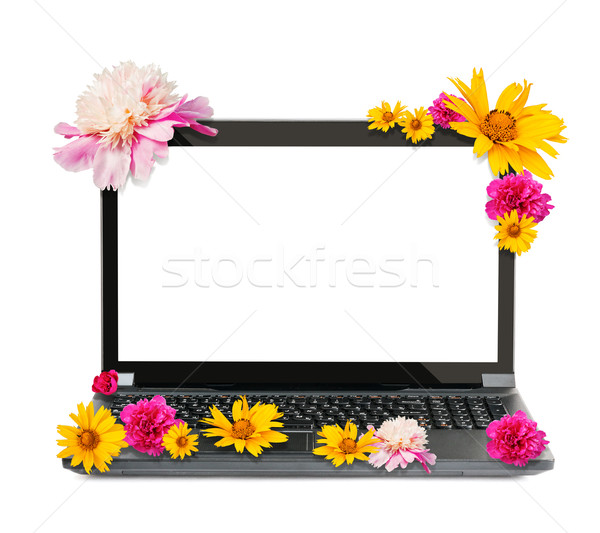 Цветы И Ноутбук Фото