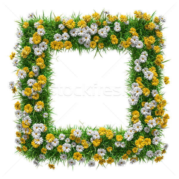 Flowers and green grass frame Stock photo © cherezoff