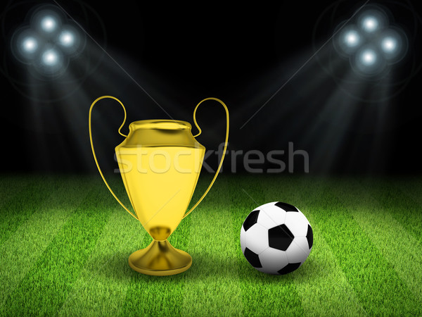 Soccer ball and gold cup in the middle of field Stock photo © cherezoff