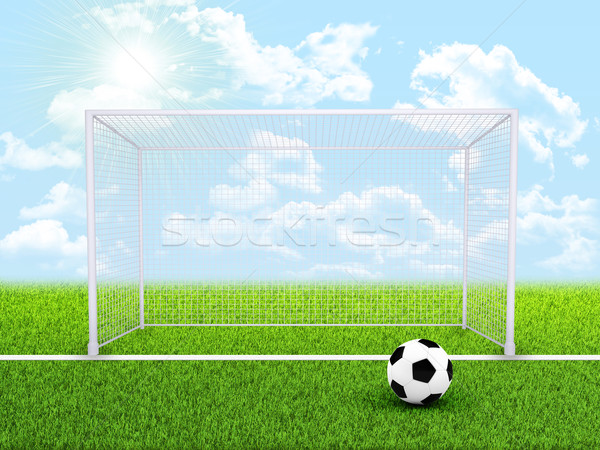 Balón de fútbol puerta campo deportes fútbol deporte Foto stock © cherezoff