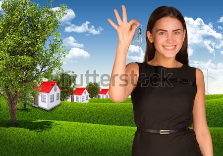 Businesswoman with road near the small house Stock photo © cherezoff