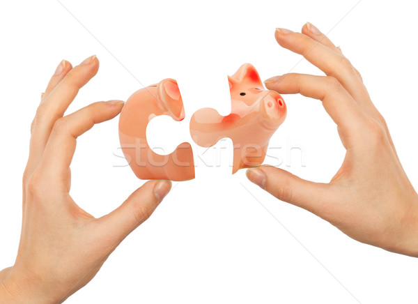Womans hand making piggy bank puzzle Stock photo © cherezoff