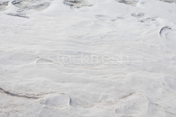 Background of seamless texture Stock photo © cherezoff