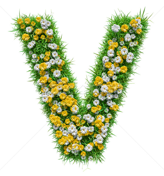Letter V Of Green Grass And Flowers Stock photo © cherezoff
