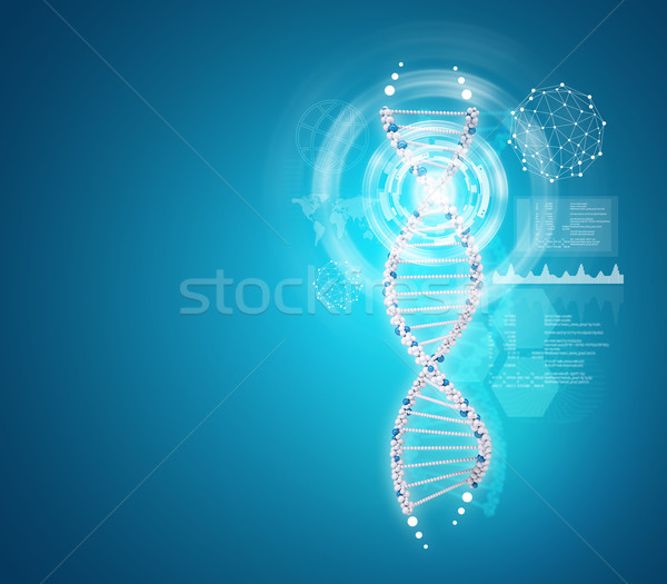 Human DNA. Background of white ring with hexagon and information board Stock photo © cherezoff