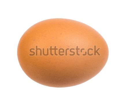 Brown egg on white Stock photo © cherezoff