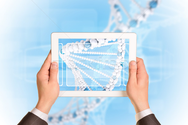 Man hands using tablet pc. Image of DNA helix on screen Stock photo © cherezoff