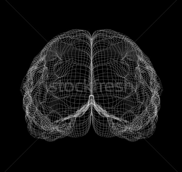 Foto stock: Wireframe · cérebro · região · humanismo · isolado · preto