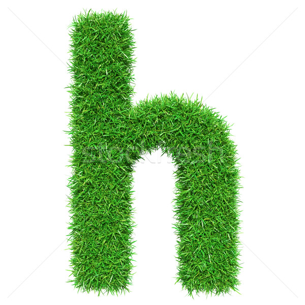 Herbe verte lettre h isolé blanche police design [[stock_photo]] © cherezoff