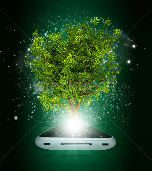 Smart phone with magical green tree and rays of light Stock photo © cherezoff
