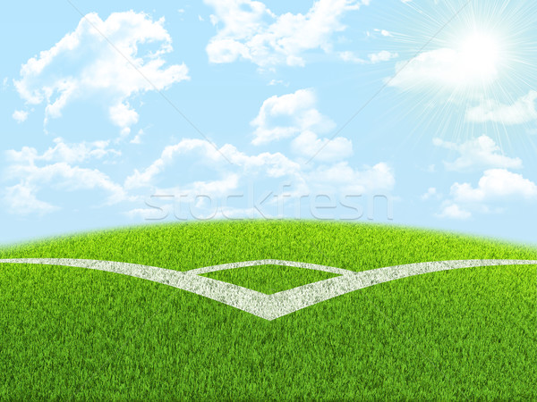 Green nature field with indexing Stock photo © cherezoff