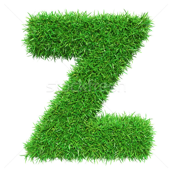 Green Grass Letter Z Stock photo © cherezoff