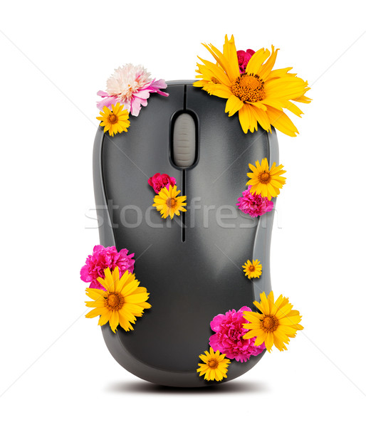 Mysz komputerowa kwiaty odizolowany biały komputera koła Zdjęcia stock © cherezoff