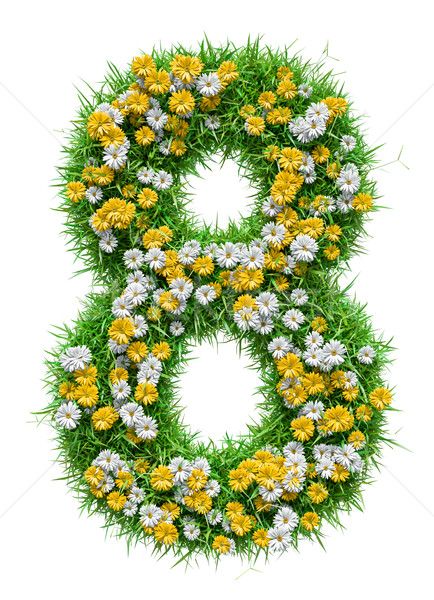 Number 8 of Green Grass And Flowers Stock photo © cherezoff