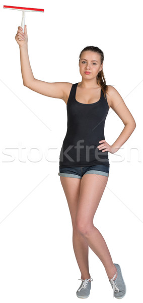 Woman holding squeegee Stock photo © cherezoff