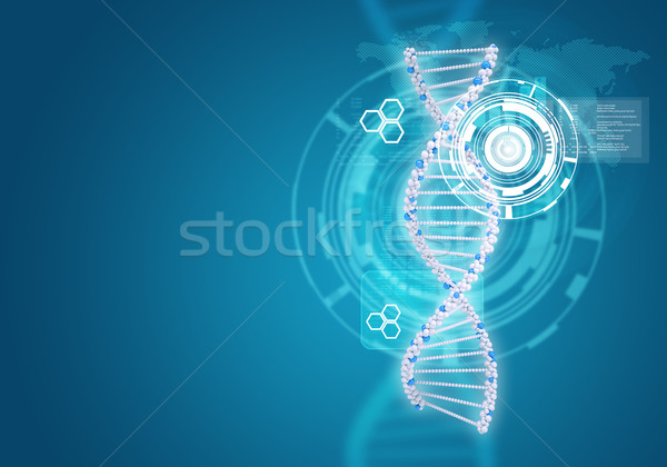 Human DNA. Background of white ring with hexagon and information board Stock photo © cherezoff
