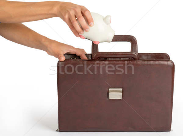 Humans hand holding piggy bank and suitcase Stock photo © cherezoff