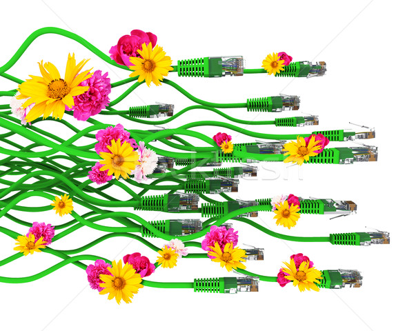 計算機 電纜 花卉 孤立 白 3d圖 商業照片 © cherezoff