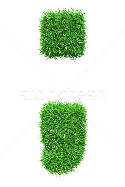 Green grass semicolon Stock photo © cherezoff