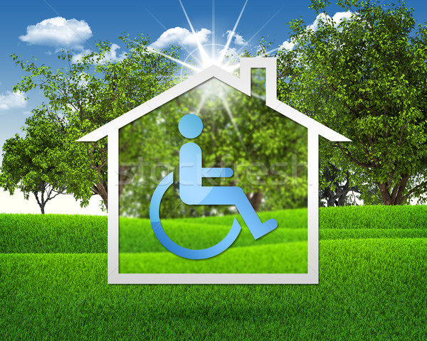 Maison icône handicap symbole herbe verte ciel bleu [[stock_photo]] © cherezoff