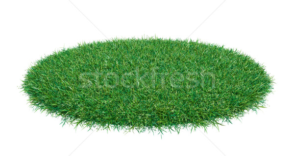 Mock-up round piece of green grass Stock photo © cherezoff