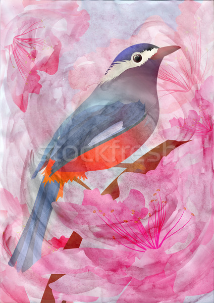 Rosa Blumen Vogel Wasserfarbe Illustration Blume Stock foto © cherju