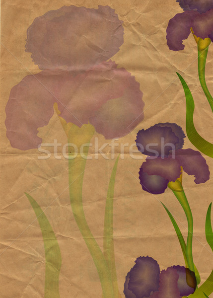 flowers illustraton old textured paper yellow tint Stock photo © cherju