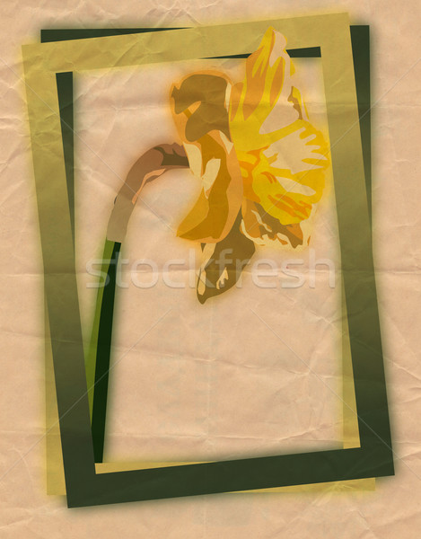 Tavasz keret fű terv levél háttér Stock fotó © cherju