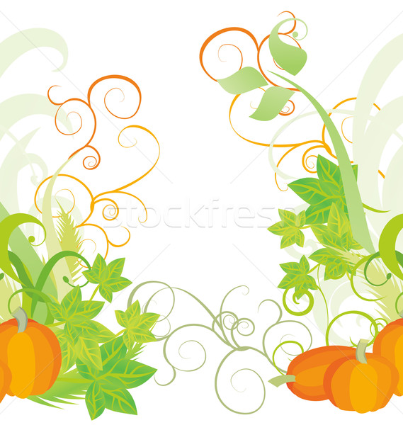 autumn textured orange pumpkin background Stock photo © cherju