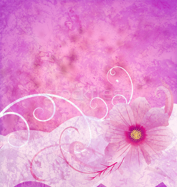 pink grange background textured idea with  ornamented pink cosmo Stock photo © cherju