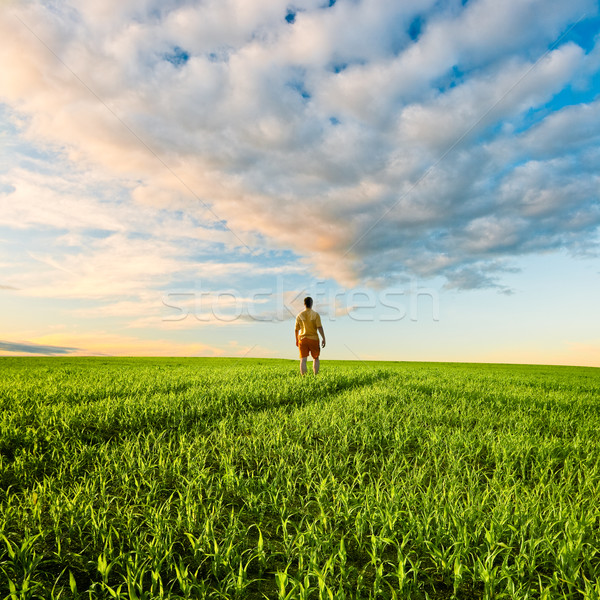 man on green field under sunset skies Stock photo © chesterf