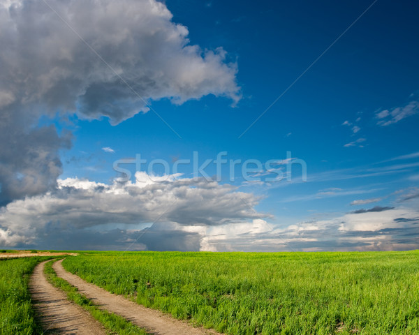 blue skies above the greenfield with rural road Stock photo © chesterf