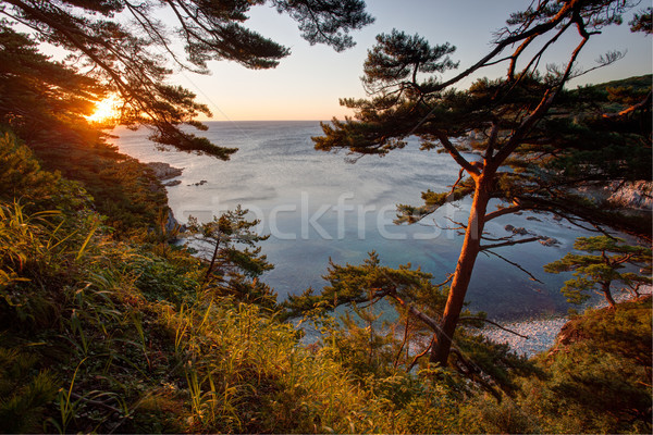 Kayalar deniz sabah ışık mezar Stok fotoğraf © chesterf