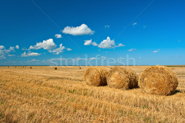 Három széna égbolt természet kék farm Stock fotó © chesterf