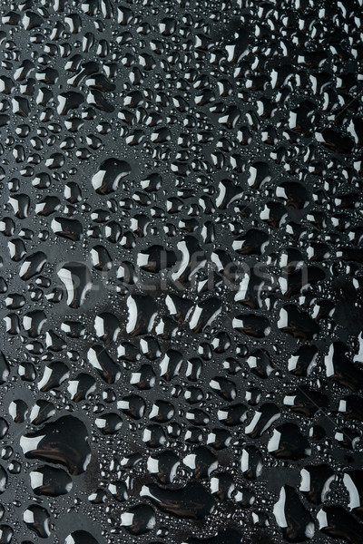water drops on black surface Stock photo © chesterf