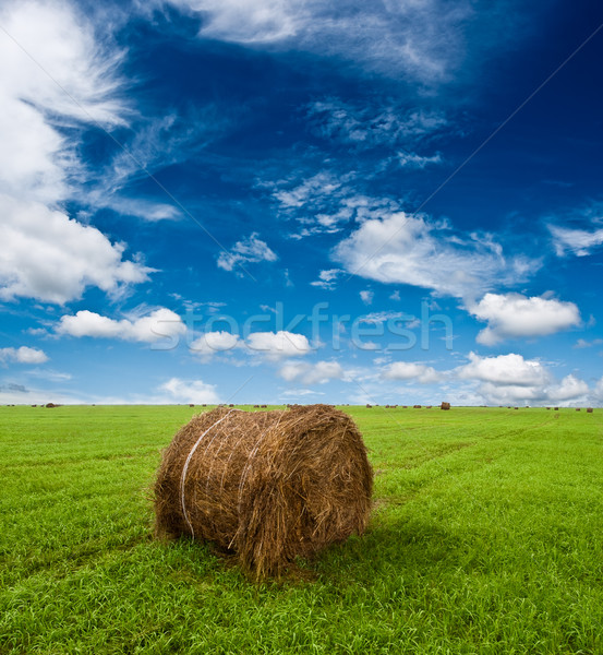 Hay rollen grünen Gras blau Himmel Wolken Stock foto © chesterf