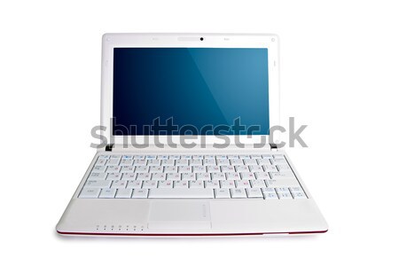 Fehér izolált netbook elöl kilátás üzlet Stock fotó © chesterf