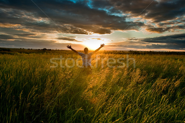 happy man in filed Stock photo © chesterf