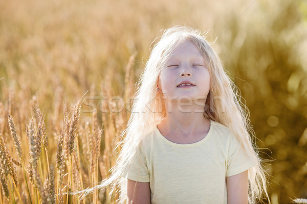Dziewczyna pole pszenicy mały w górę Zdjęcia stock © chesterf