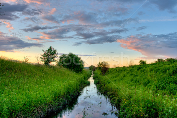 écouter coucher du soleil eau herbe bois feuille Photo stock © chesterf