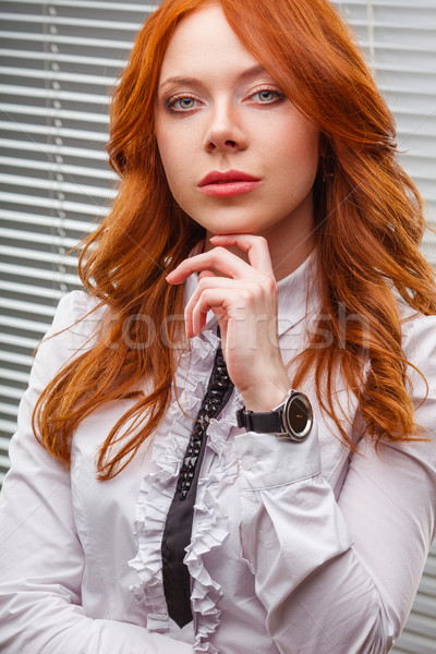 Mujer pie mujer de negocios retrato negocios Foto stock © chesterf